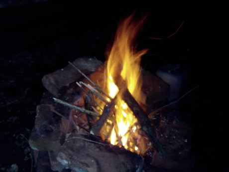 IMAG0135