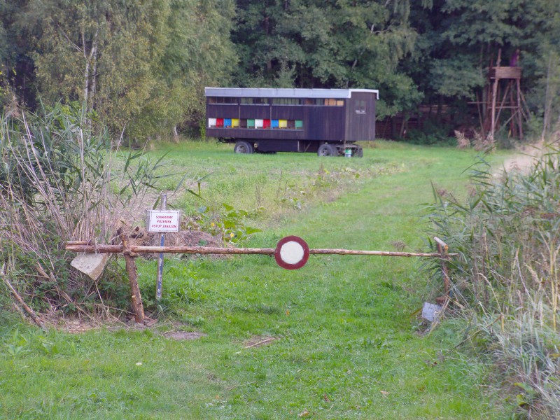 imag0942.jpg