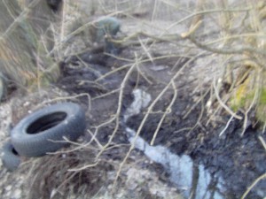 imag0006.jpg