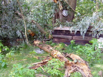 imag0703.jpg